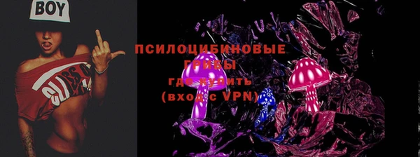 apvp Магас