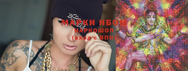 apvp Магас